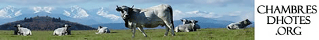 banner-chambredhotes